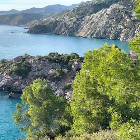 Andrea Nerja