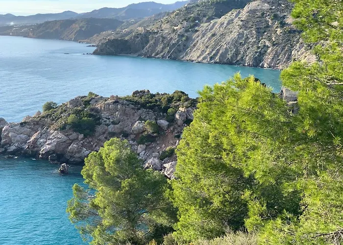 Andrea Nerja